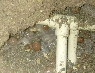 达州市卫生间测漏