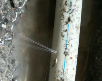 达州市卫生间测漏水多少钱
